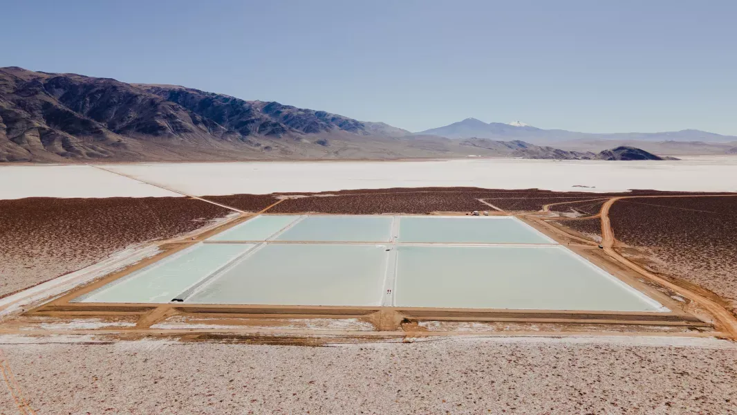 litio pozuelos pastos grandes