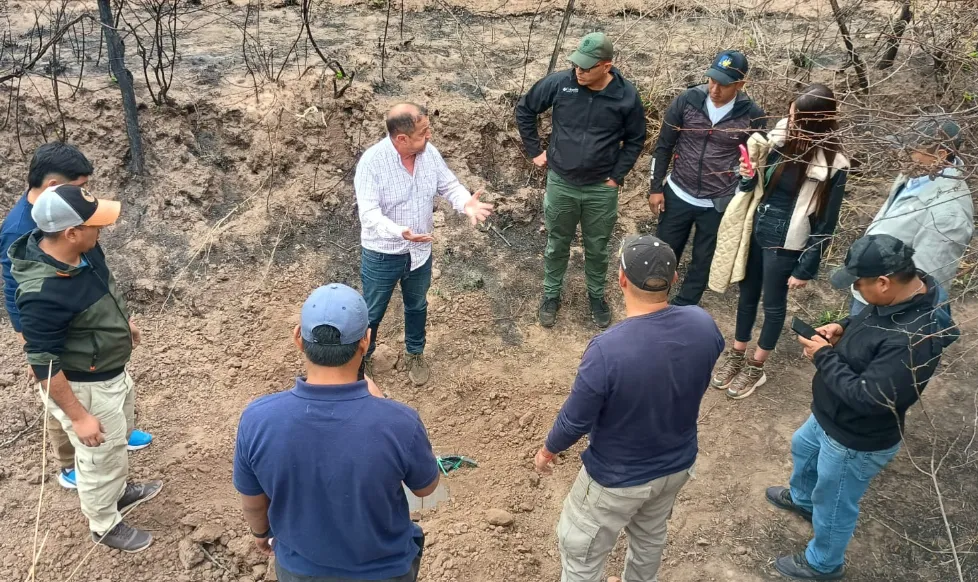 Captura de pantalla 2025-11-05 194732