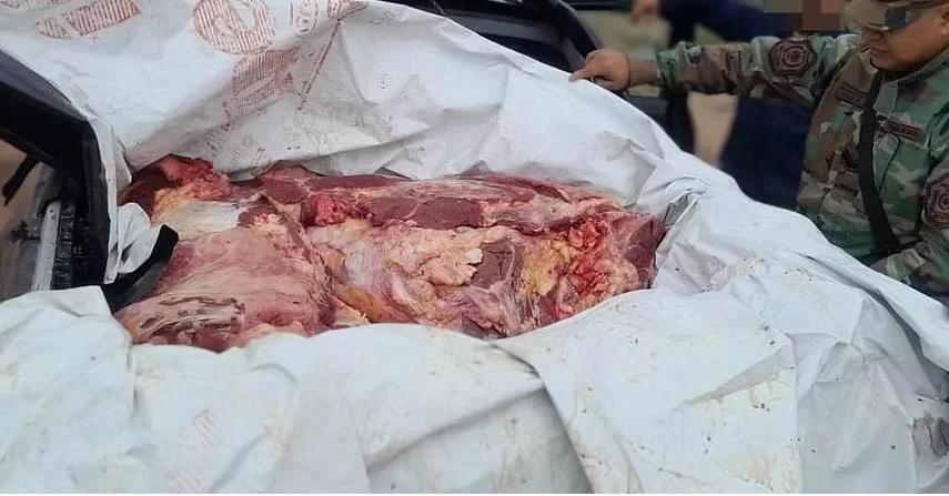 Captura de pantalla 2026-03-26 111658