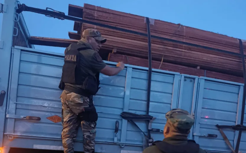 Captura de pantalla 2026-01-29 111250