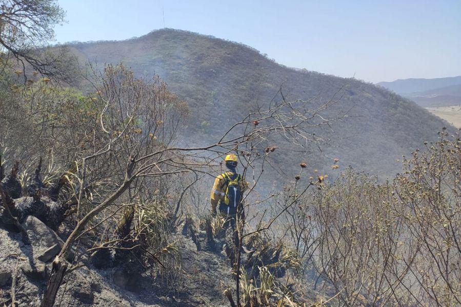 72605-prosiguen-los-trabajos-para-sofocar-incendios-forestales-en-la-zona-norte-de-la-capital