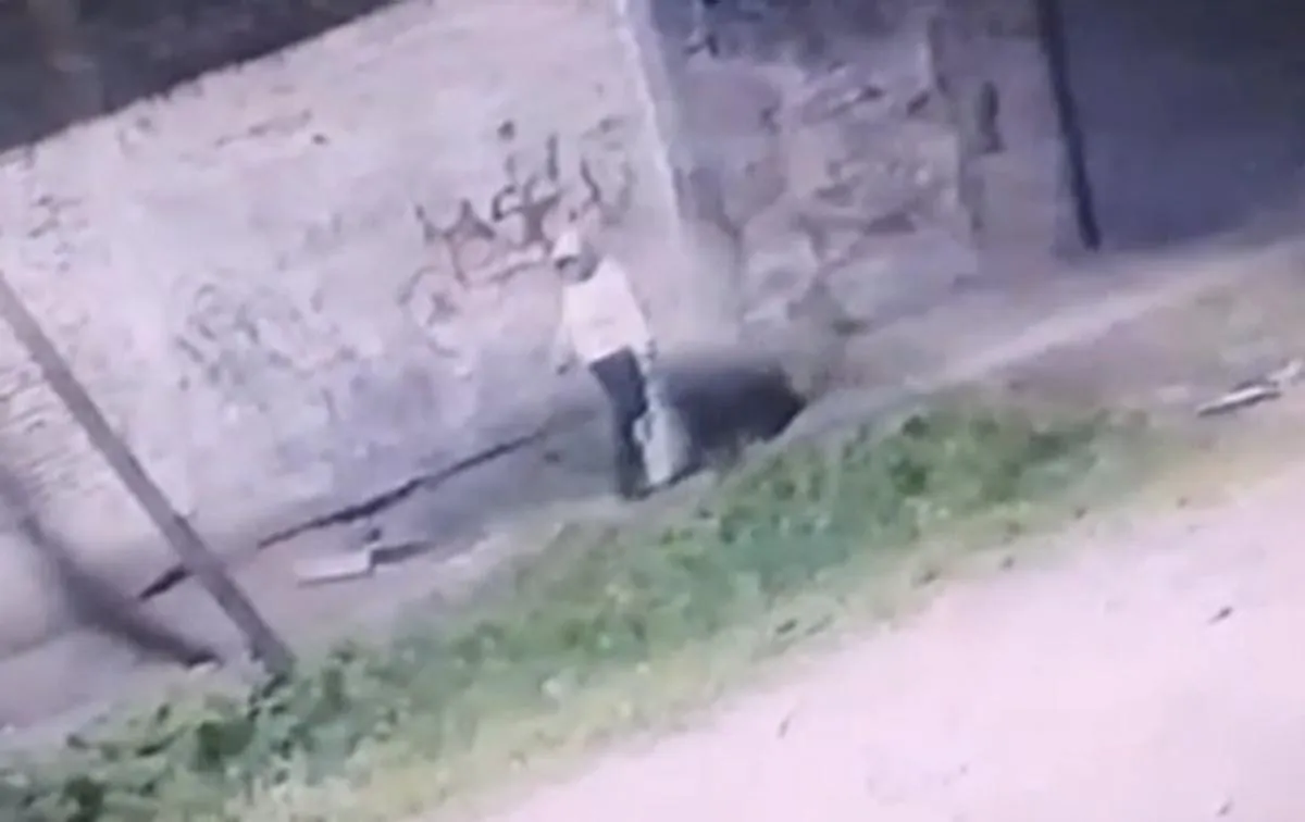 be8d6a15-4944-49e0-bf63-27fe87f5c1c8