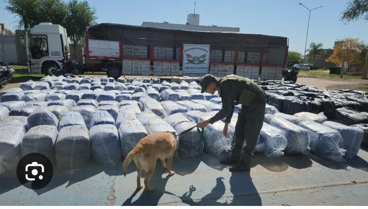 Fuerzas de Seguridad contra el narcotrafico