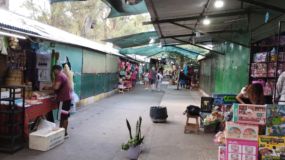 IMG_20250109_094820884