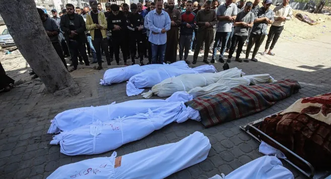 Captura de pantalla 2025-04-29 115852