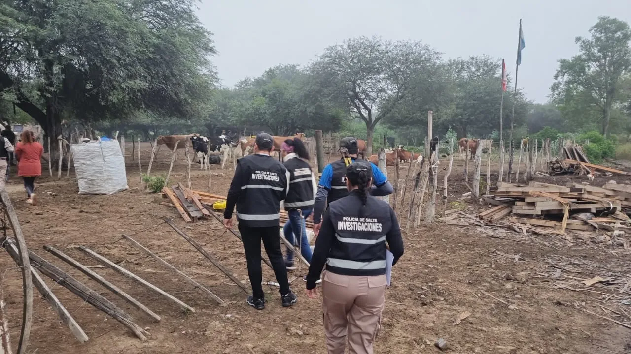 dc798508-c7c8-41a9-adea-baf1f9c14c4f