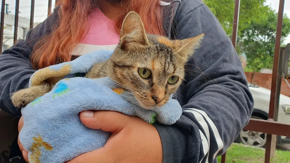 castracion-cic-de-solidaridad-3-1-2048x1152