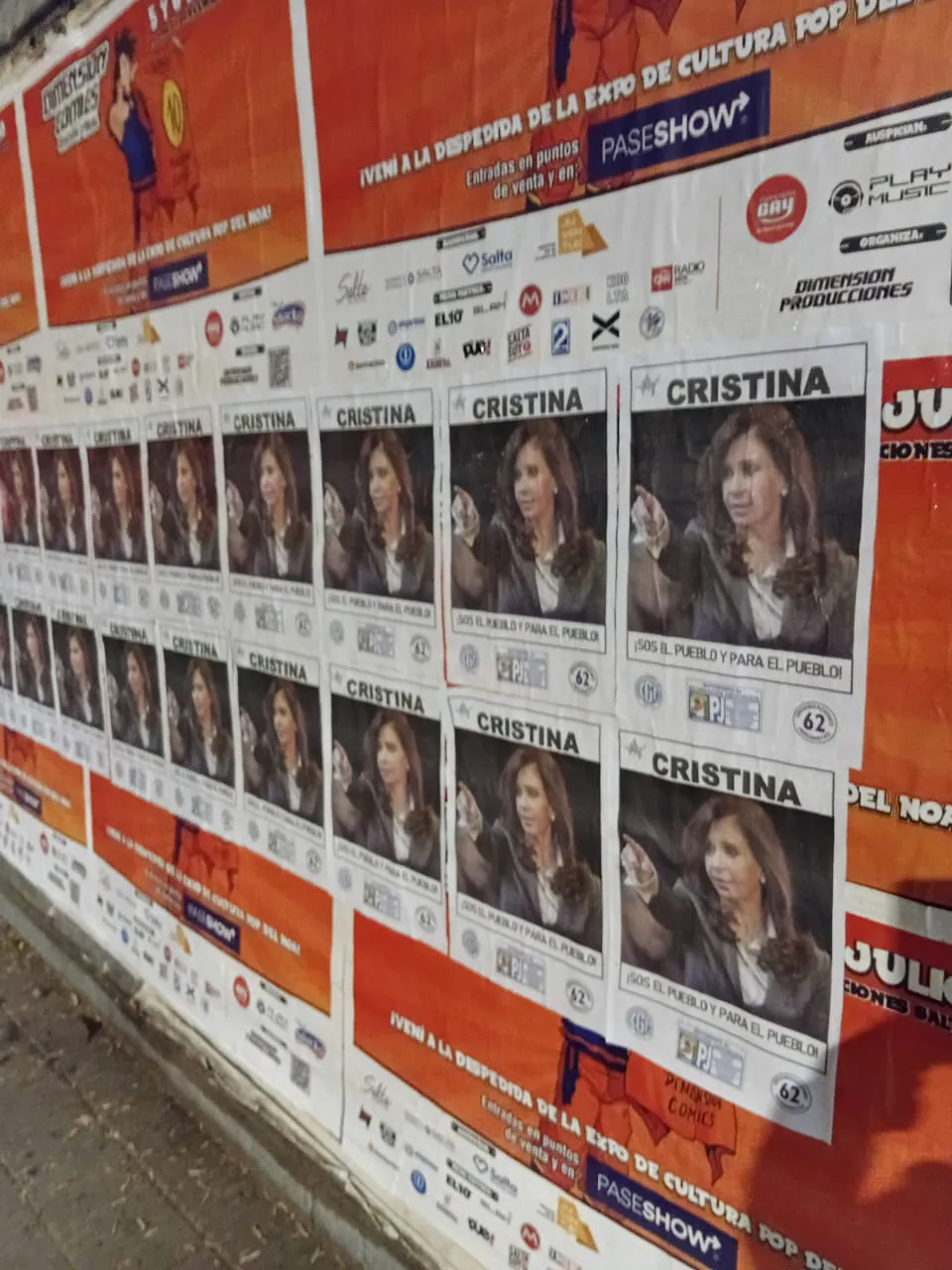 Afiches en apoyo a Cristina Fernández (1)