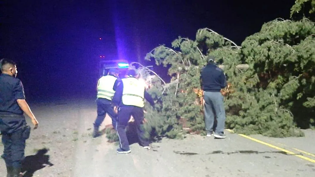la-policia-asistio-a-damnificados-por-la-tormenta-en-localidades-de-salta