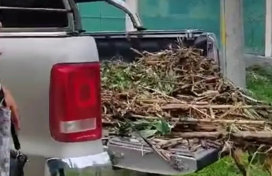 Captura de pantalla 2024-11-29 121221