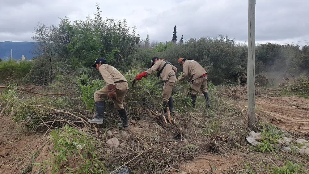 limpieza-baldio-el-circulo-a-scaled