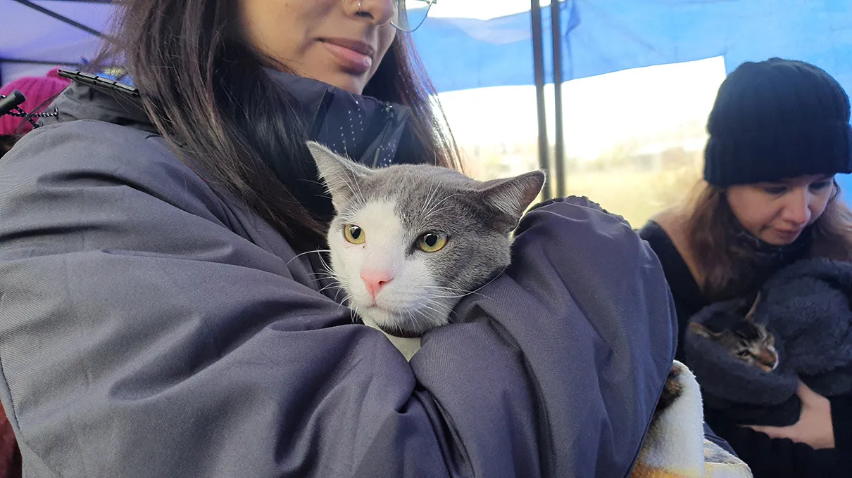 movil-quirurgico-en-barrio-palmeritas-11