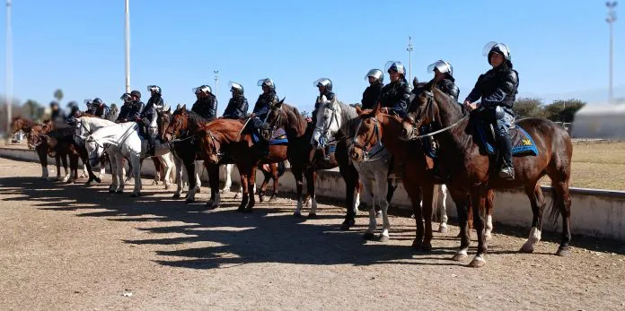 WhatsApp-Image-2025-07-20-at-3.49.54-PM-696x347