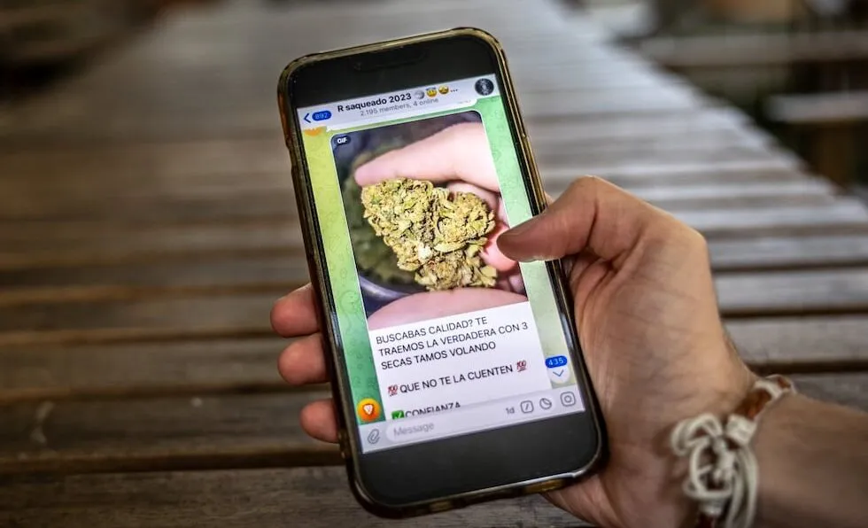 telegramo-e1733341778991