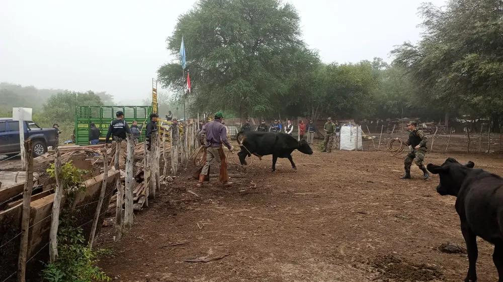 ae5b6b22-44d8-4e57-b5cb-63ab39857e43