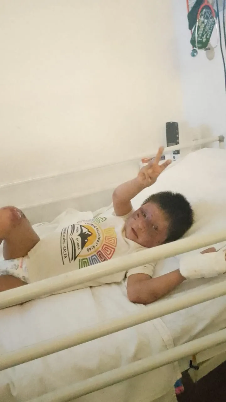 WhatsApp Image 2024-11-20 at 1.00.49 PM