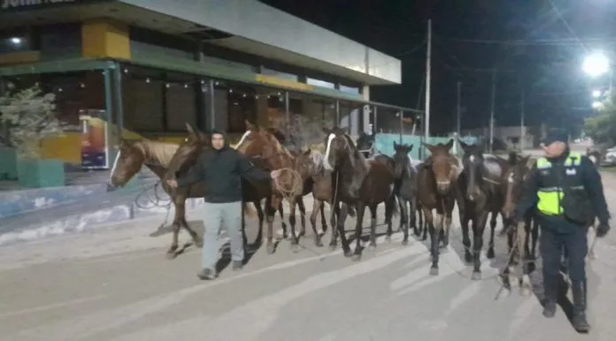 WhatsApp-Image-2025-06-10-at-10.19.36-AM-696x385