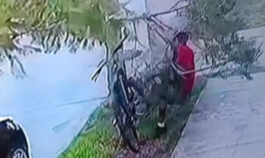 Captura de pantalla 2026-01-16 110919