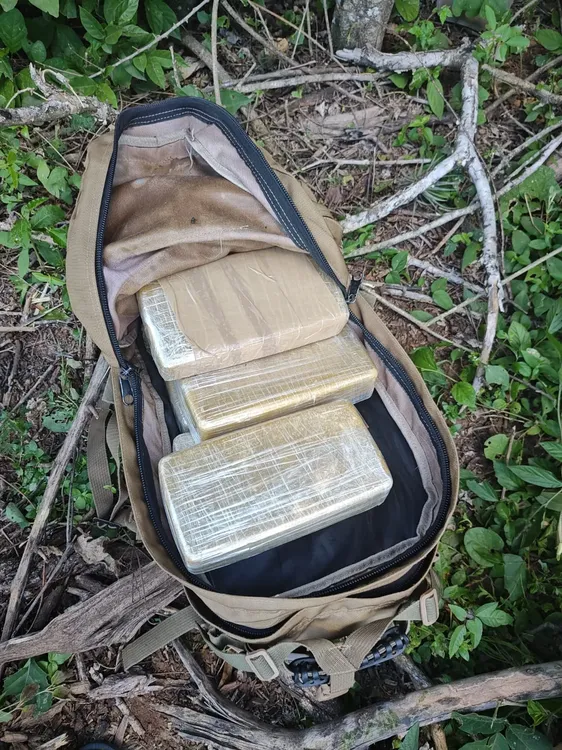 3a1c9b05-494a-48da-8d00-98e9ed2d2ac2