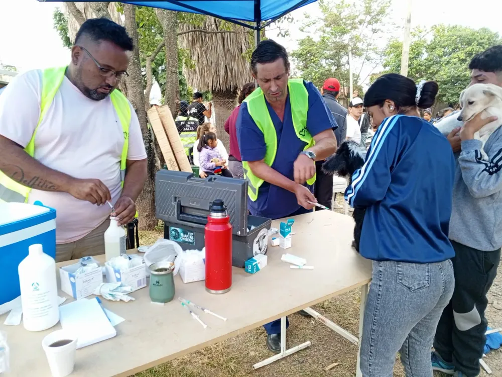 vacunacion-antirrabica-limache-5