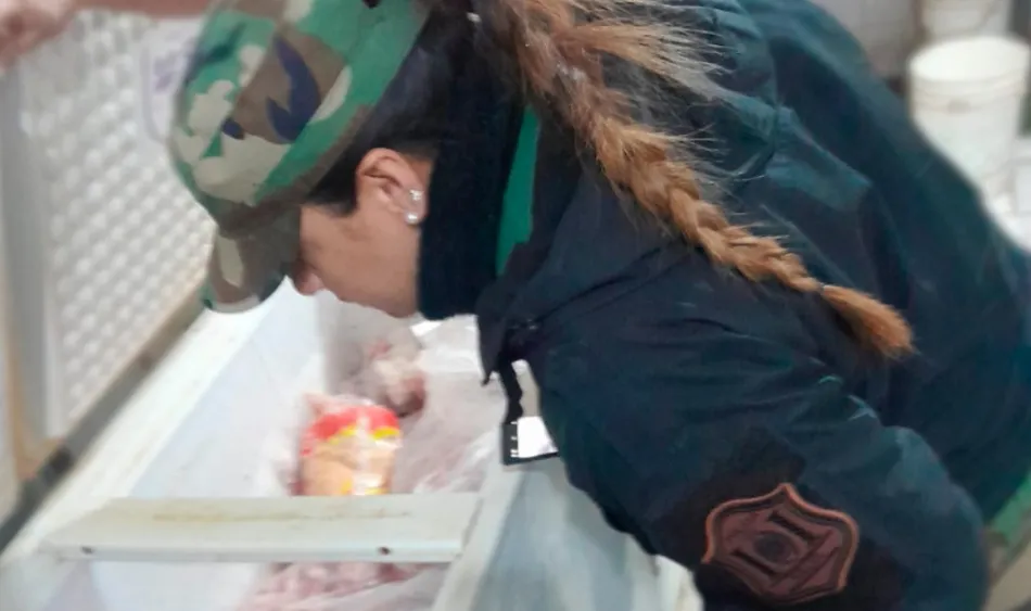 Captura de pantalla 2025-06-04 112347