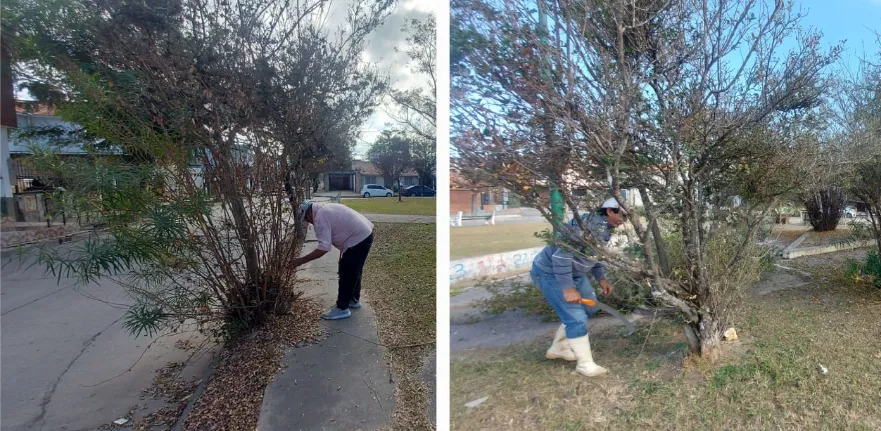 Captura de pantalla 2024-06-18 101512