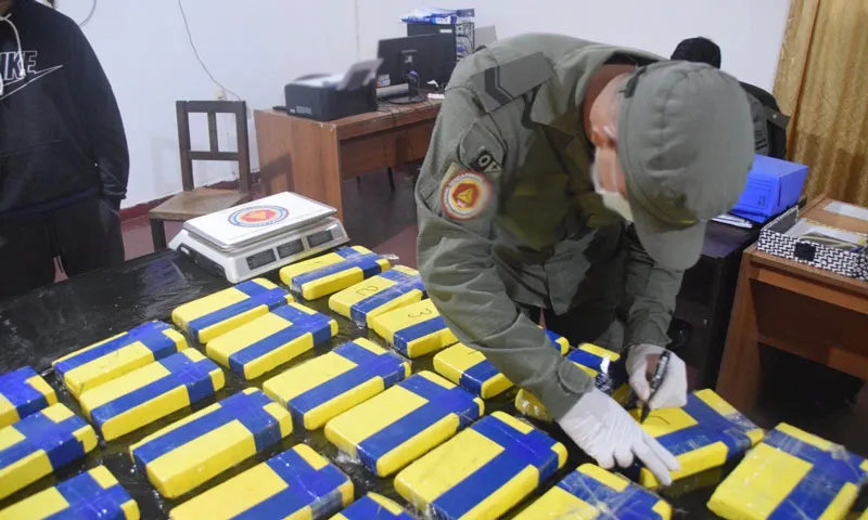 incautamos-31-kilos-de-cocaina-ocultos-en-cajones-de-berenjenas-2