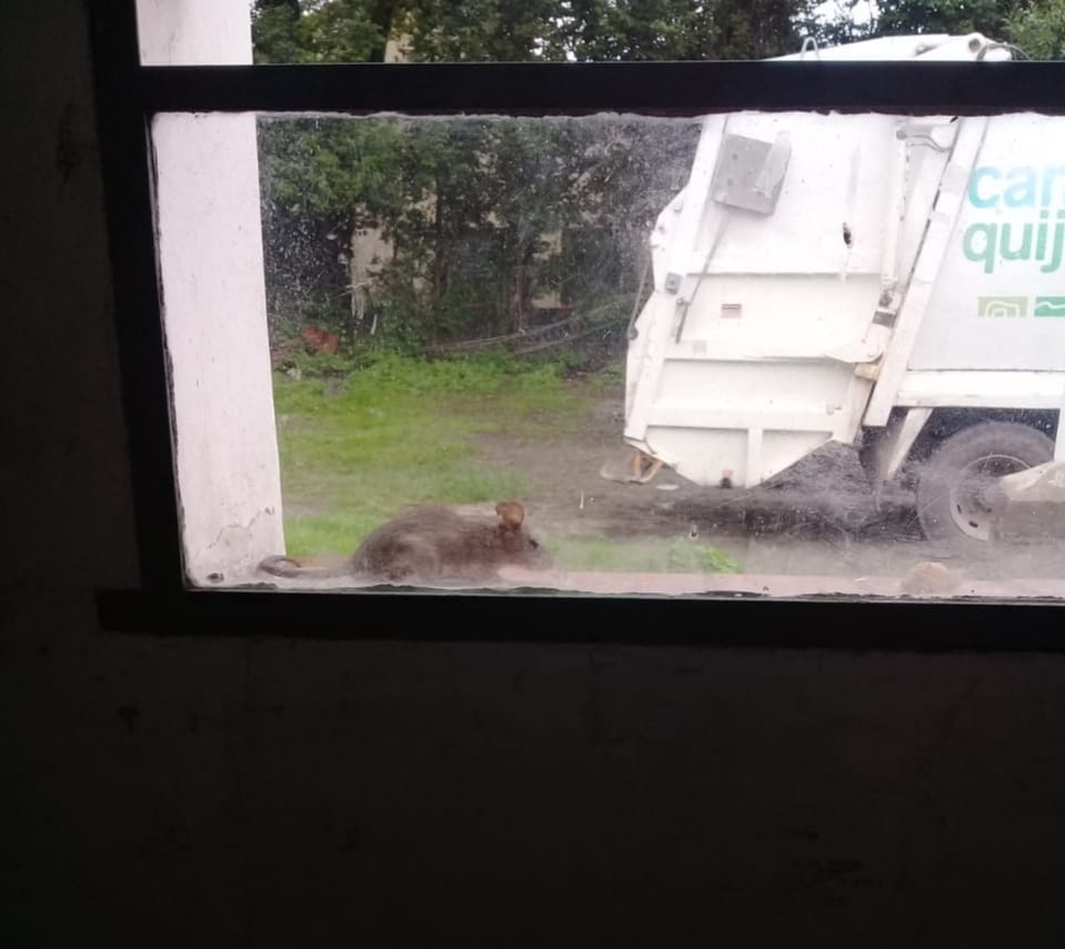 50138630_1308217255987459_4008849983628378112_n