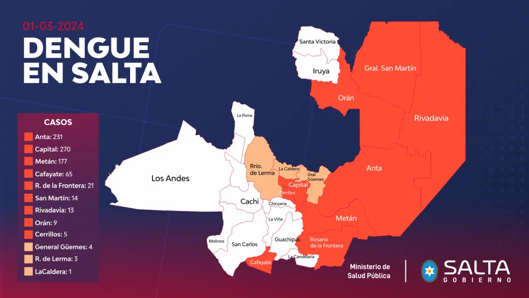 94451-en-la-provincia-se-confirmaron-mas-de-800-casos-de-dengue