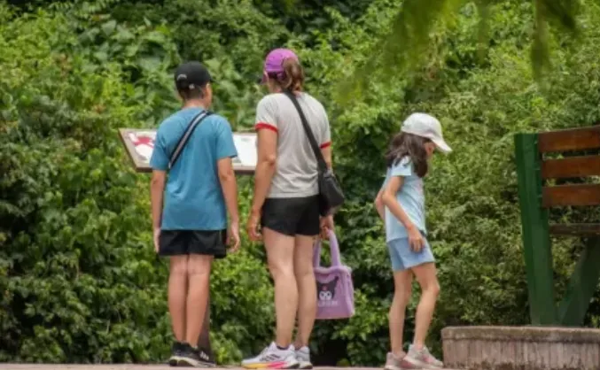 Captura de pantalla 2025-10-14 094004