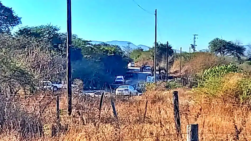tres_palmeras