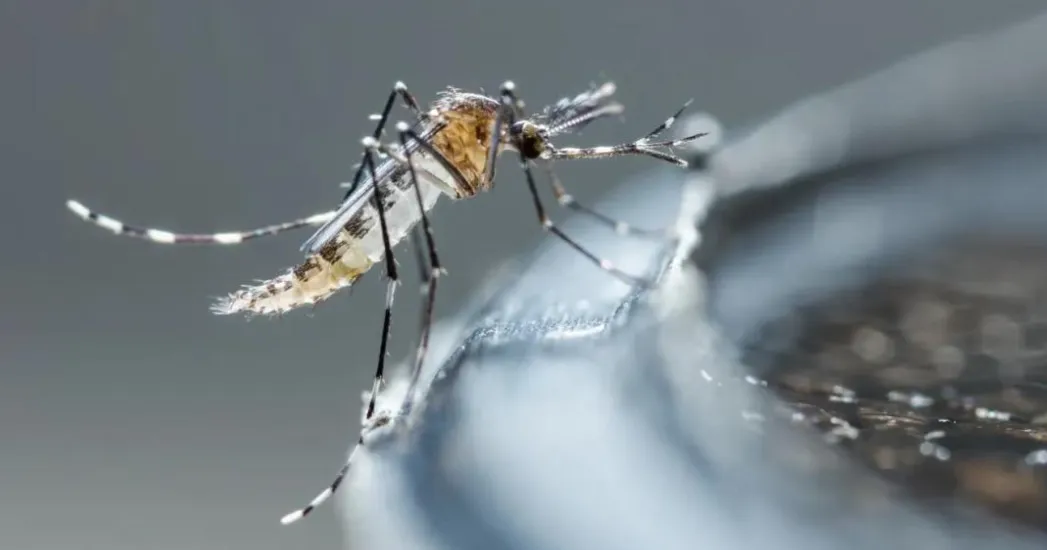 Captura de pantalla 2024-06-03 225755