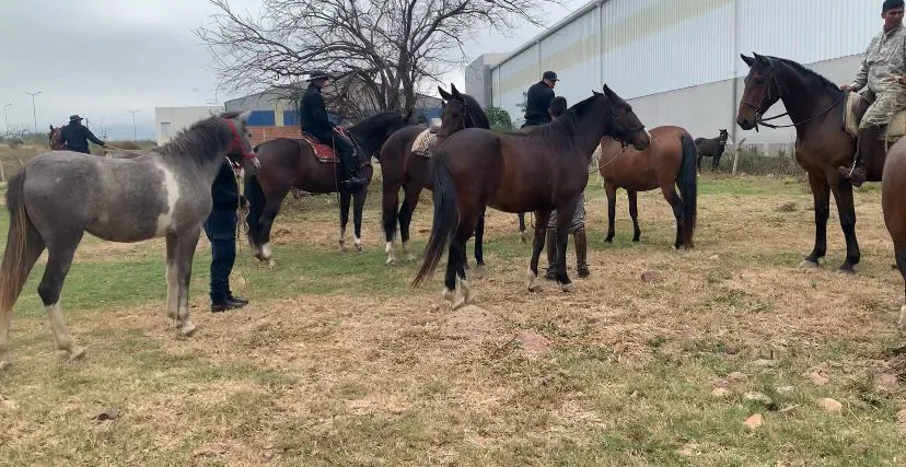 WhatsApp-Image-2025-05-05-at-10.17.13-AM-1