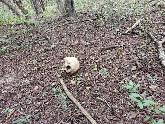 379664faa50ded686c2c9167707c16e9