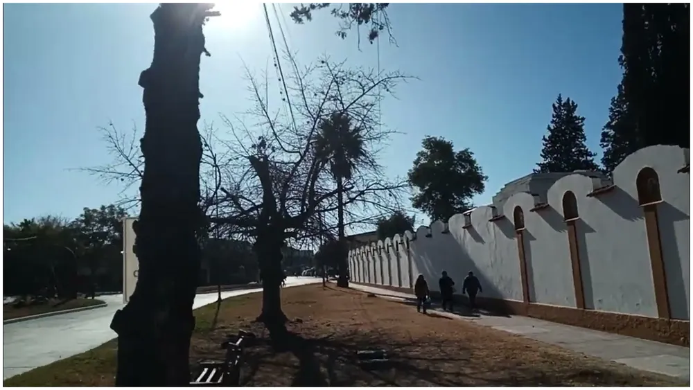 Local Bailable Rosario Lerma