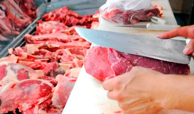 Captura de pantalla 2026-01-13 123819