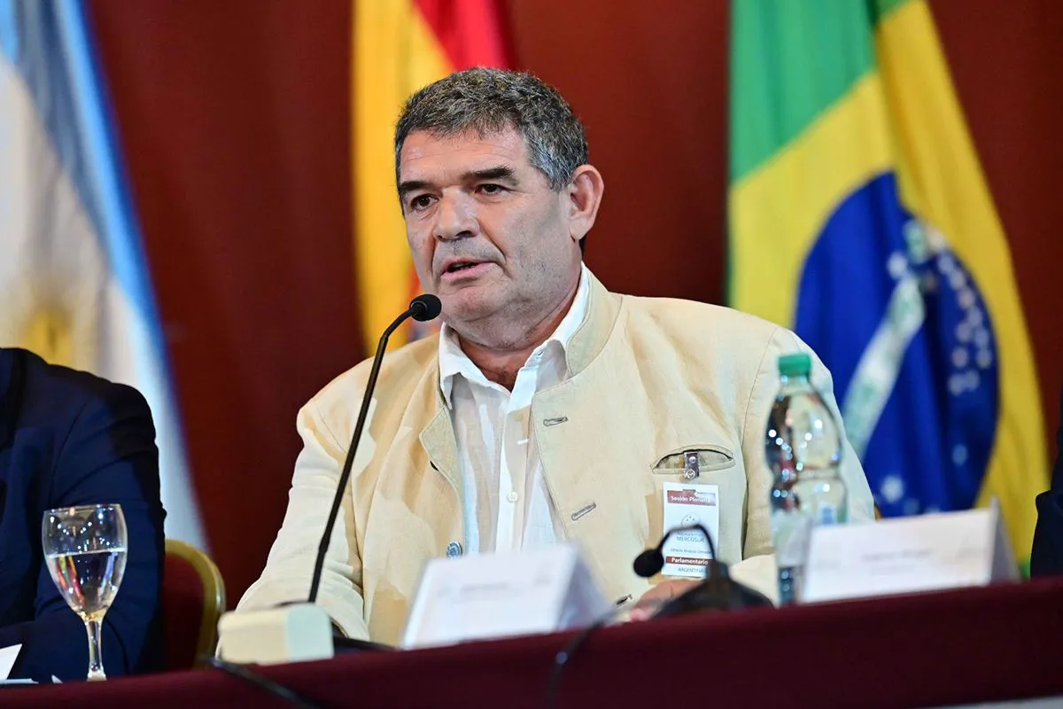 alfredo-olmedo-fot-mercosur-