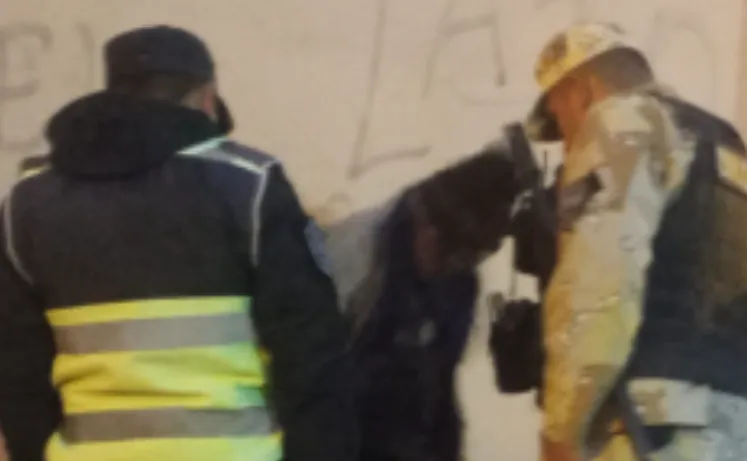 Captura de pantalla 2025-05-26 113556