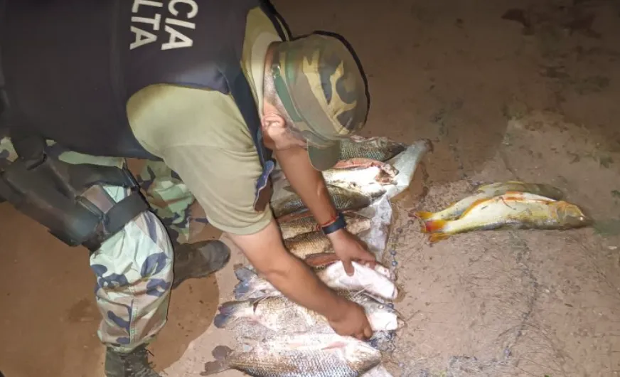 Captura de pantalla 2024-12-09 100410