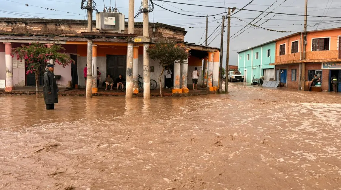 Captura de pantalla 2026-01-08 104914