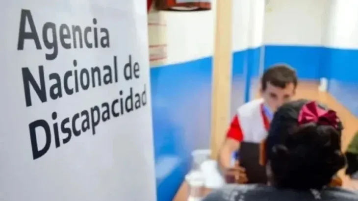 agencia-nacional-discapacidadjpg