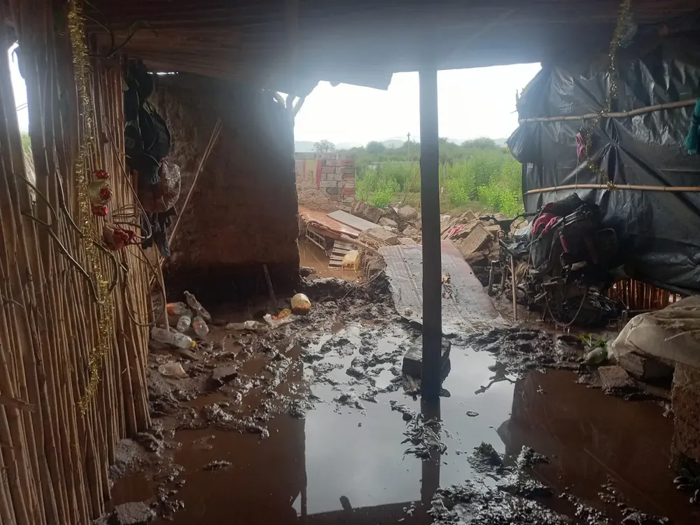 Paraje Madre Vieja en Gral Guemes (1)