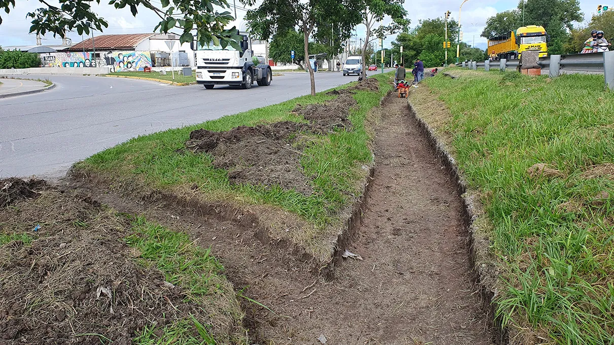 limpieza-en-avenida-tavella-2