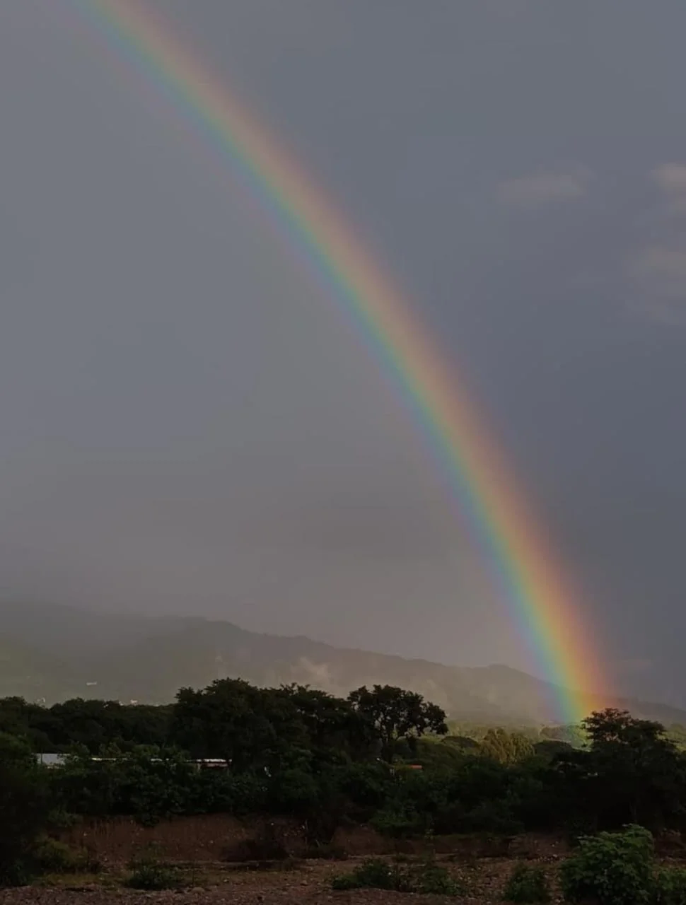 16ae676f-59f2-4f3e-b30c-9ac06aedb6b5