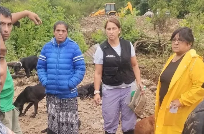 Captura de pantalla 2026-01-19 111550