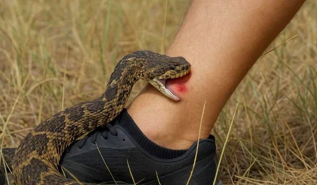 Captura de pantalla 2026-03-05 131228