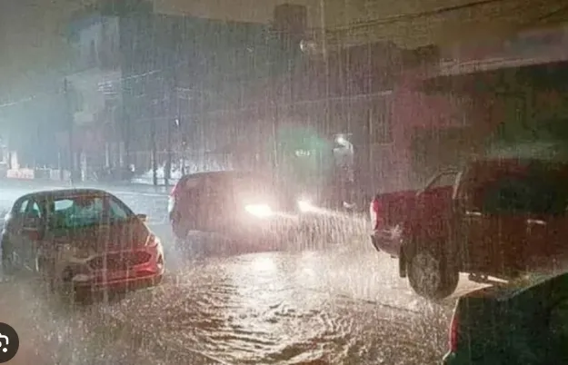 Captura de pantalla 2026-01-19 103209