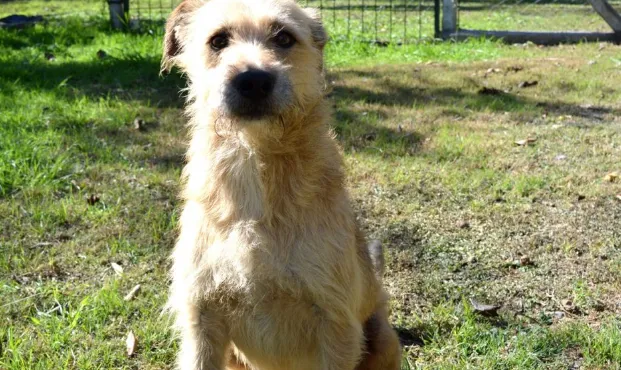 Captura de pantalla 2025-10-13 203704