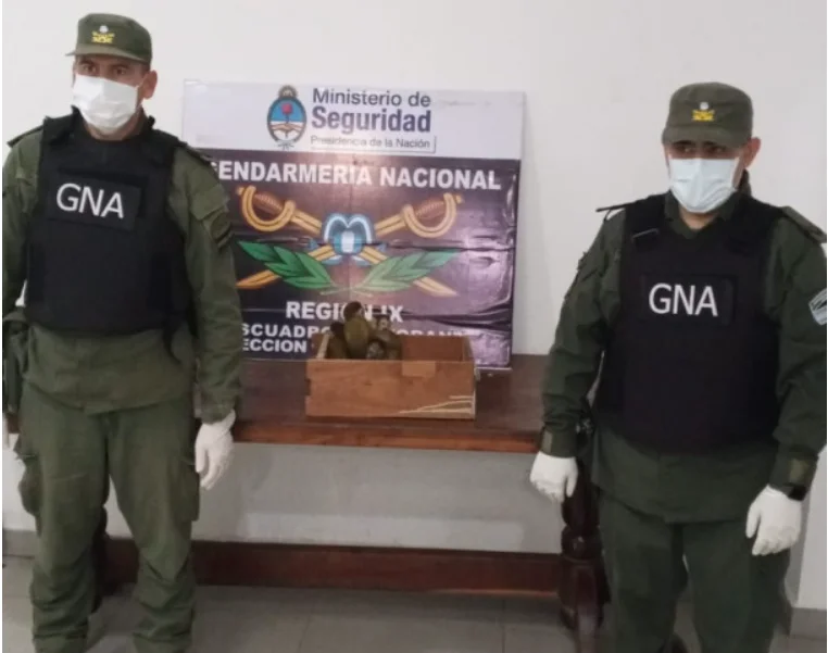 Captura de pantalla 2026-03-29 101235