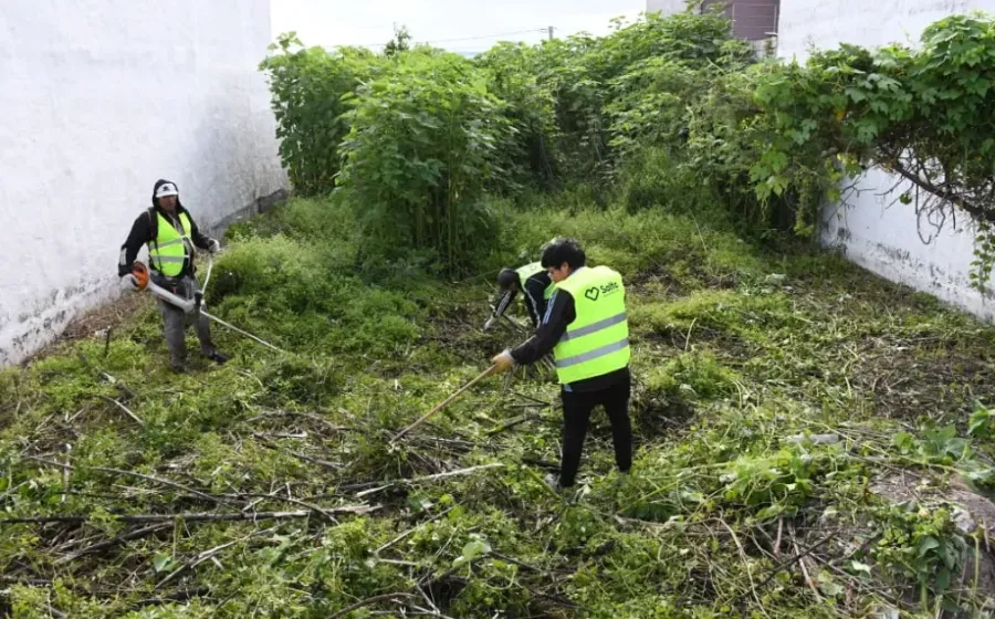 Captura de pantalla 2026-02-08 100504